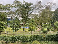 Goldhill Towers (D11), Apartment #593540071